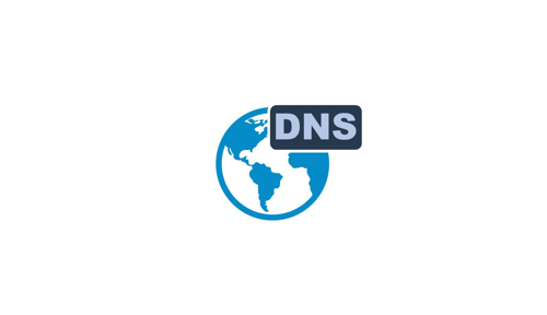 Domain DNS Information Query